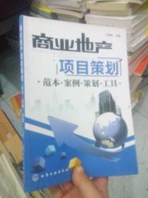 商業(yè)地產(chǎn)項目策劃實戰(zhàn)指南 范本、案例、策劃流程與工具全解析
